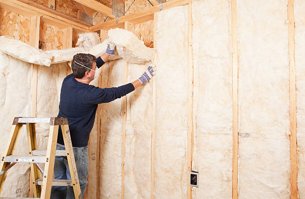 Types of Insulation We Offer in Lavon, TX